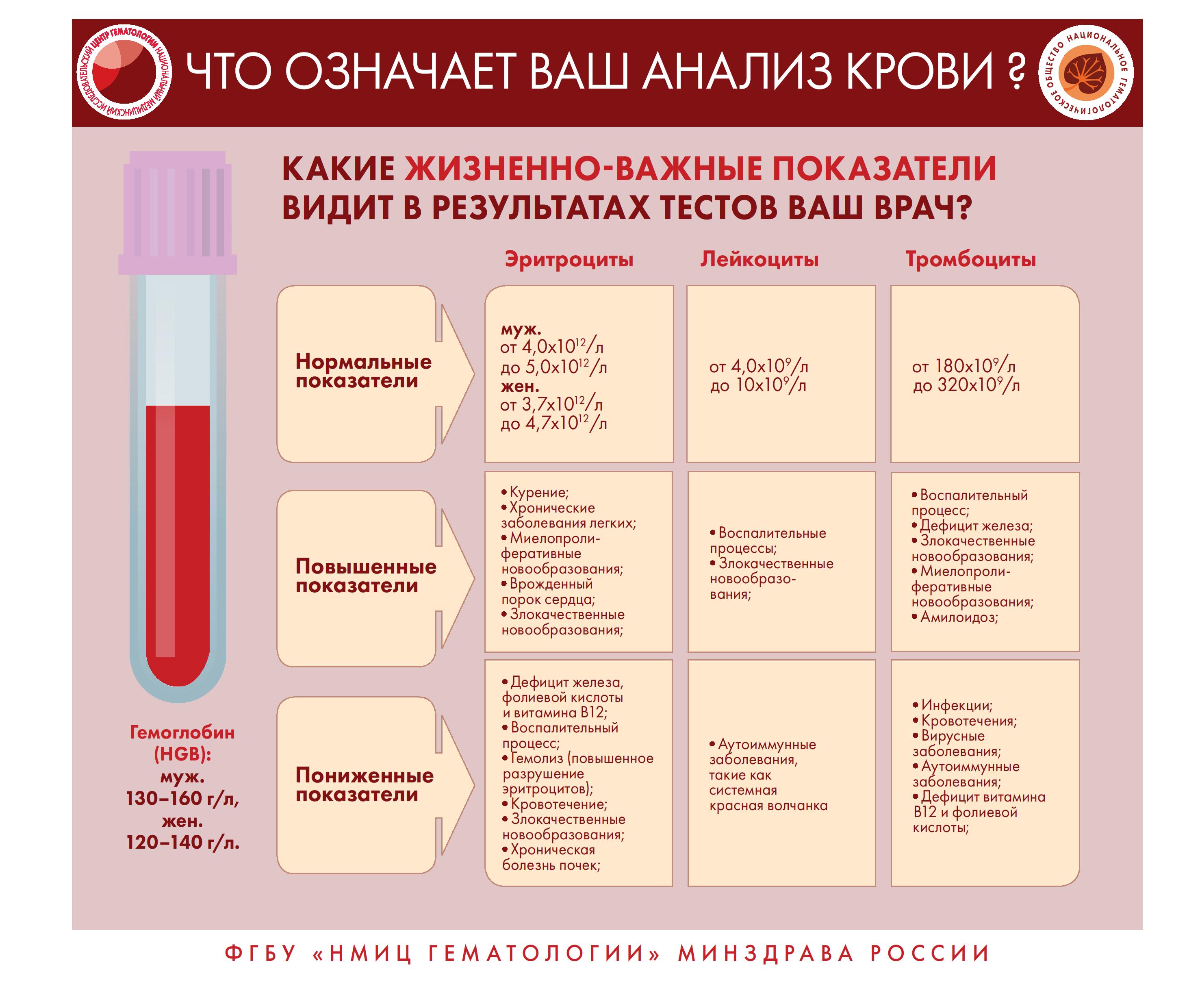 Инфографика болезни крови - Тбилисская ЦРБ