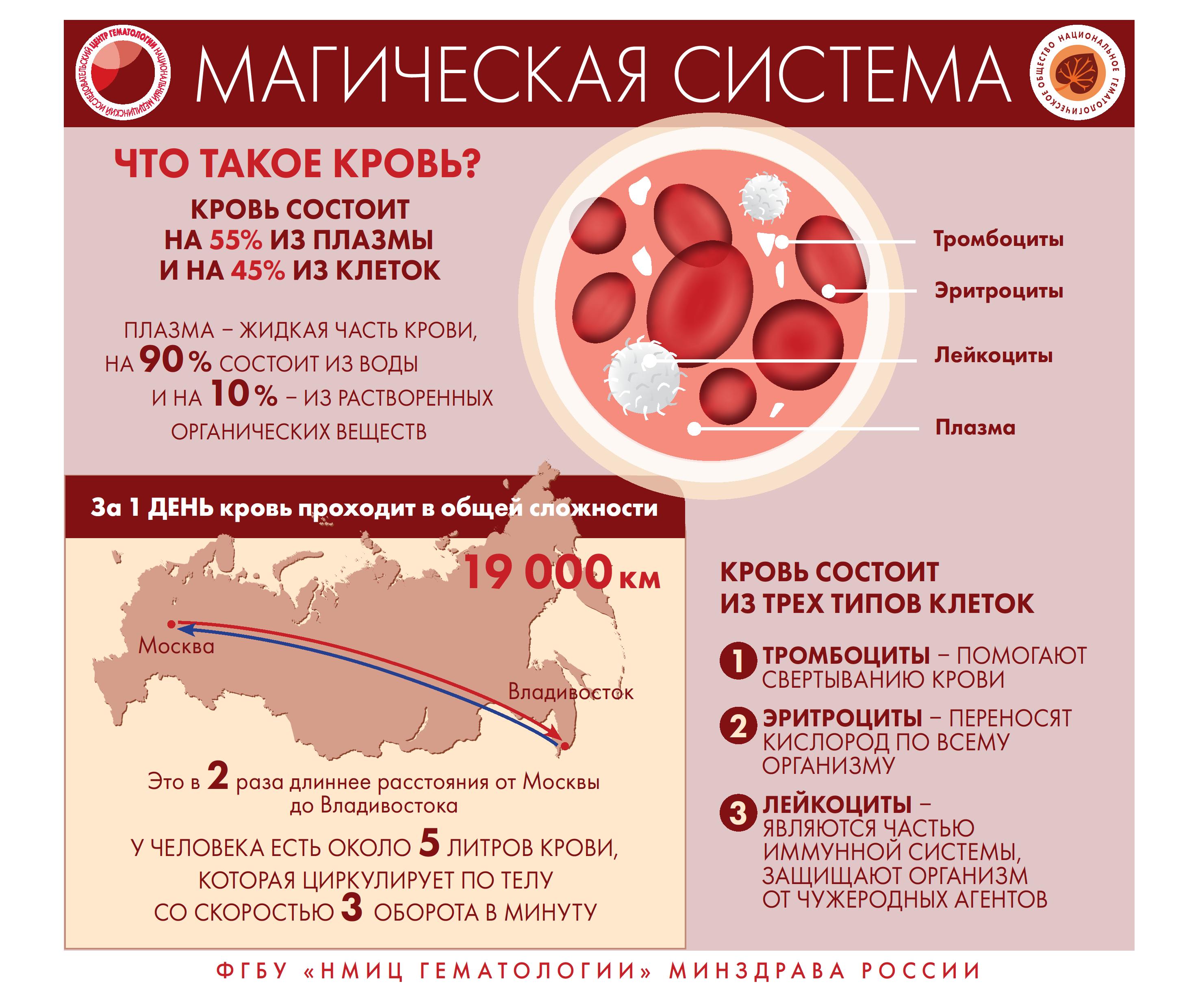 Инфографика болезни крови - Тбилисская ЦРБ