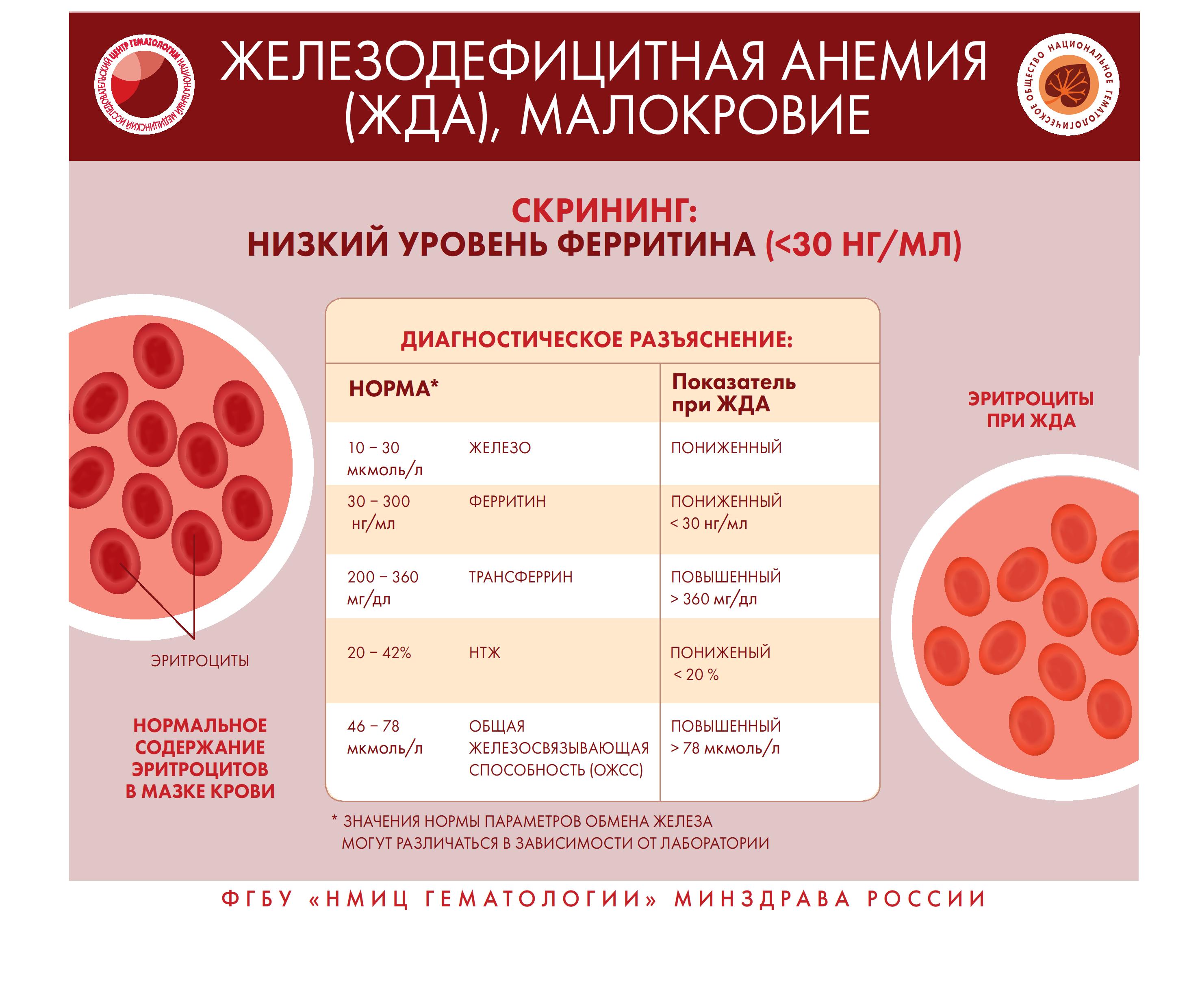 можно ли заразиться заболеваниями при минете фото 98